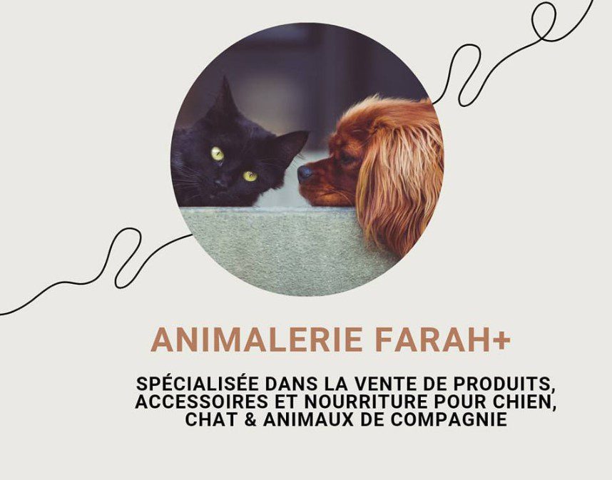 Animalerie farah Animalerie farah