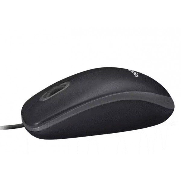 Souris Optique USB Logitech B100